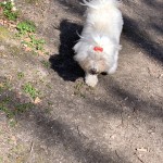 Molly